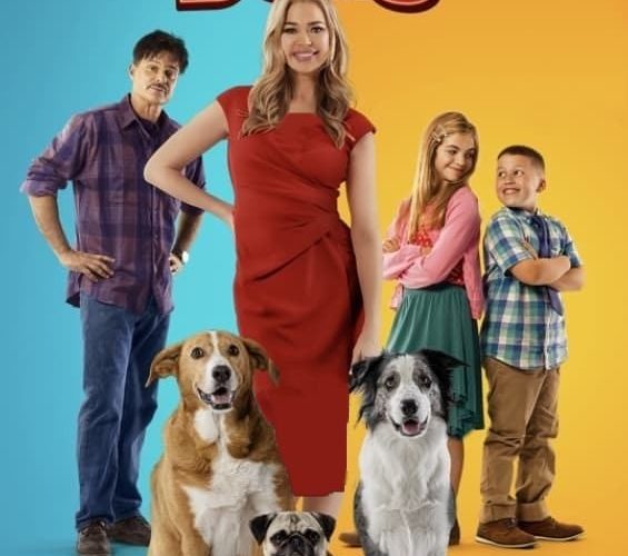 فیلم سگ های ولگرد با زیرنویس فارسی