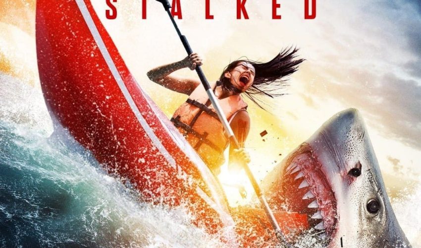 فیلم صخره: در کمین با زیرنویس فارسی