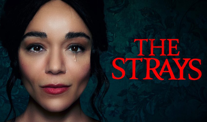 تریلر فیلم The Strays